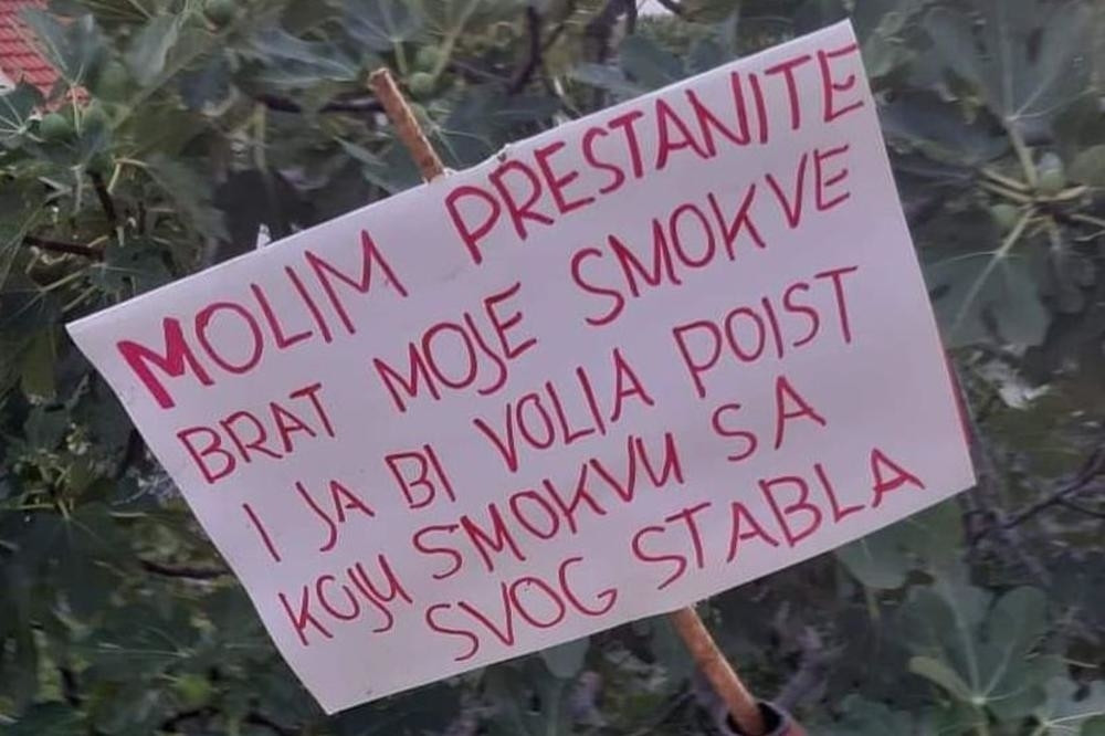 Turisti su se toliko navrzli na njegovo drvo da je morao da im ostavi poruku, ali ovu rekaciju NIJE OČEKIVAO!