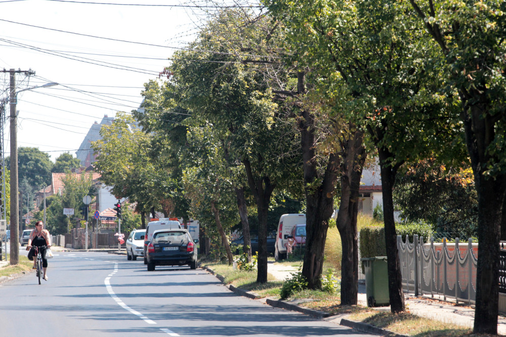 Dvojica uhapšena zbog bacanja eksplozivne naprave u Bogatiću