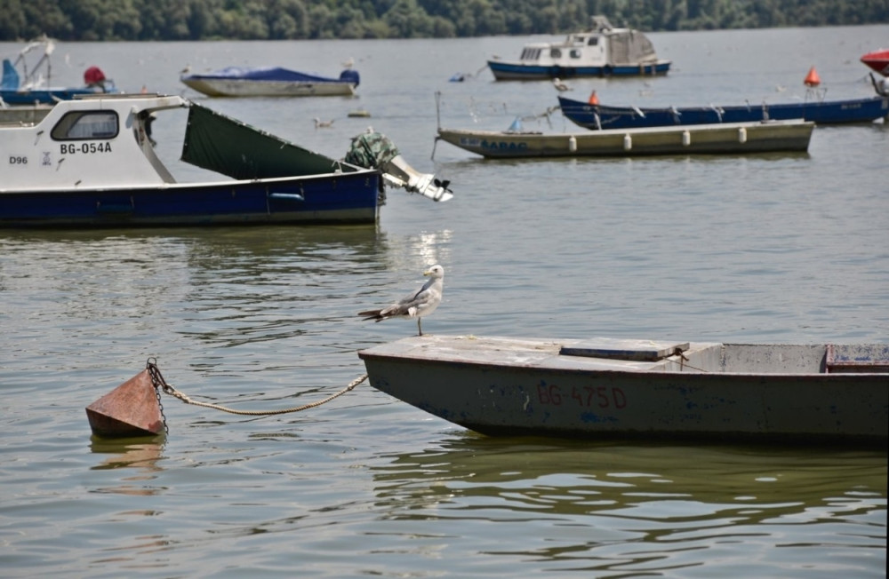 Sumnja se da je u pitanju Edin koji je ubijen pre 3 dana
