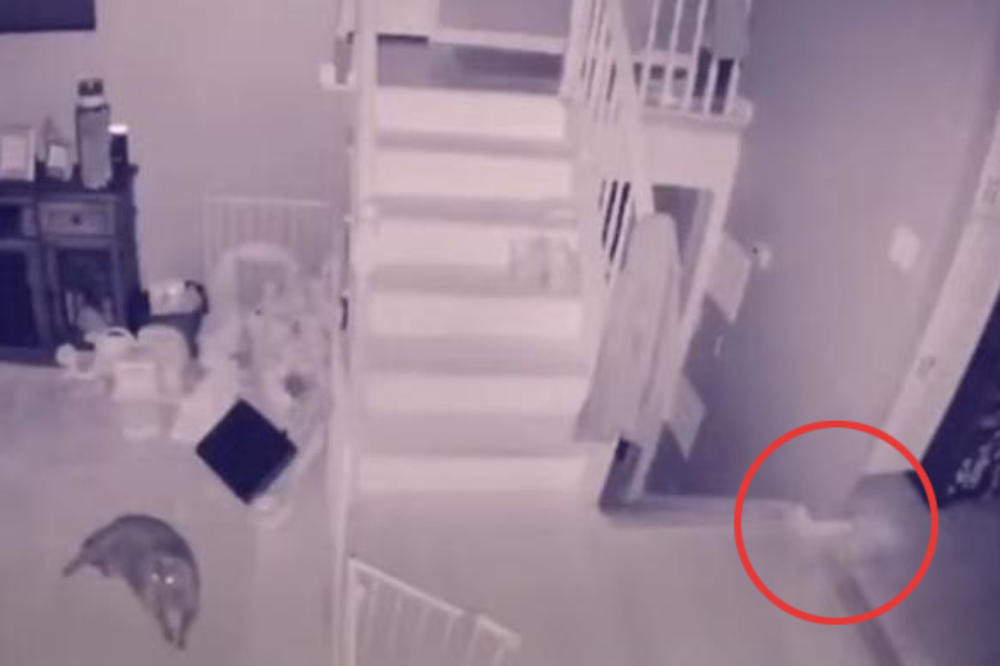 Postavio je kamere u dnevnu sobu, a zbog onoga što se pojavilo, sledio se od straha! (VIDEO)