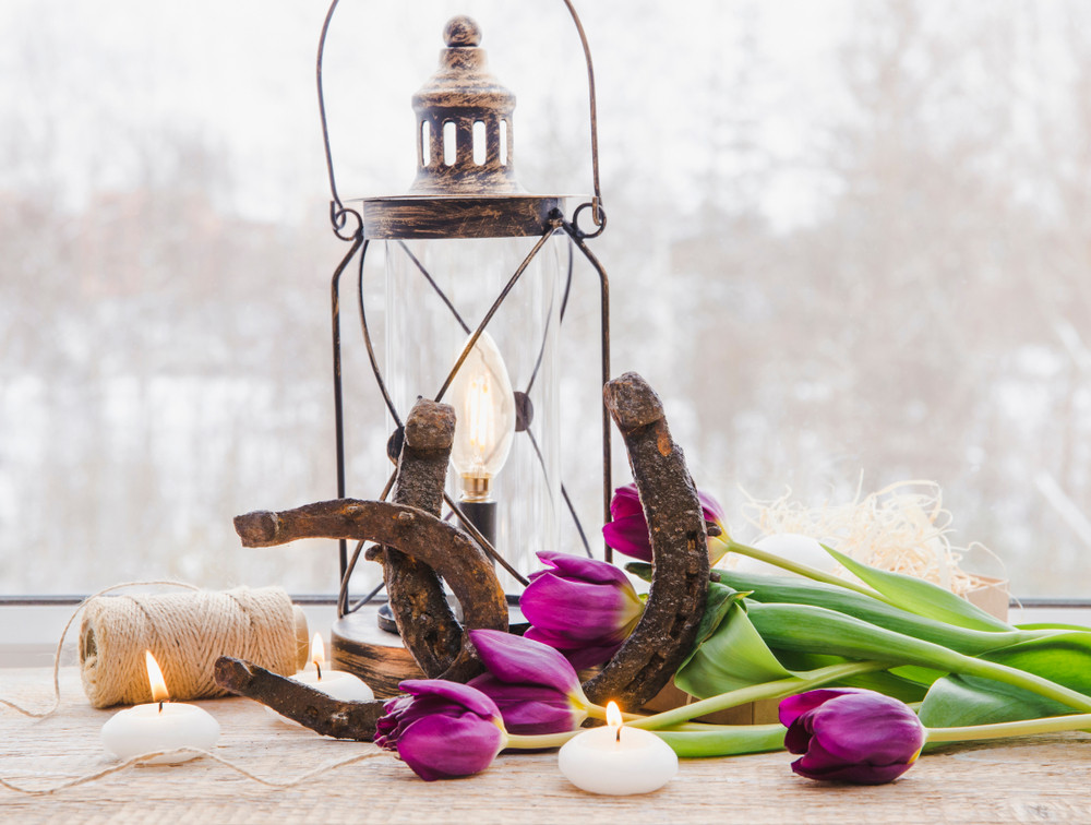 Potkovica donosi veliku sreću, bubamaru ne smete terati