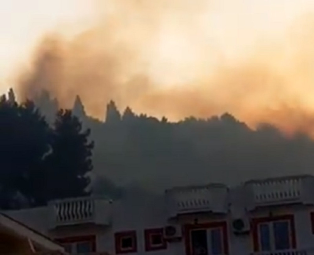 Požar u Crnoj Gori se širi neverovatnom brzinom! Vatrogasci iz drugih opština pritiču u pomoć, naši turisti u panici! (VIDEO)