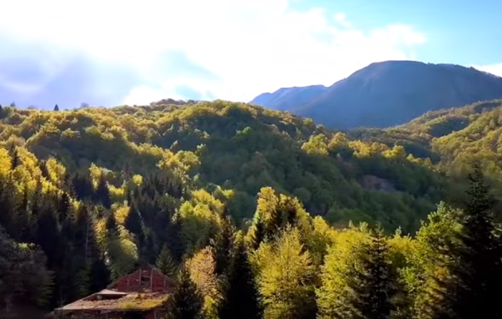 Dvojica Roma odigrala su ključnu ulogu u najvažnijoj bitki na Košarama