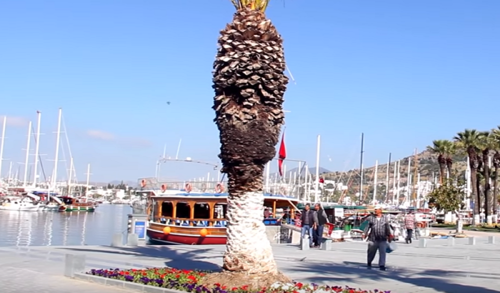 Devojčicu (12) usisala pumpa u bazenu dok se kupala i držala je 15 minuta! Dete umrlo u najstrašnijim mukama!