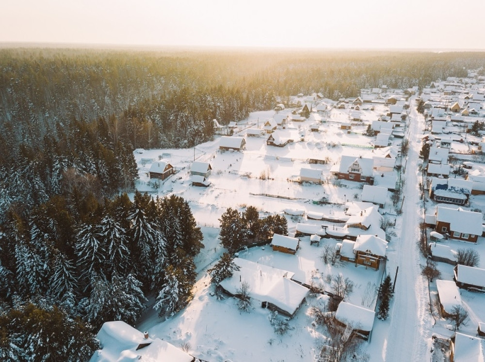 Stvorenje bilo 46.000 godina zaleđeno!