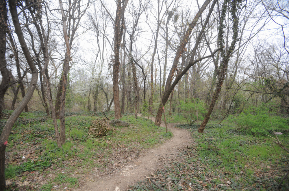 Pronađen obešen na planini Vukan! Stravičan prizor zatekli ljudi koji su tražili zlato!
