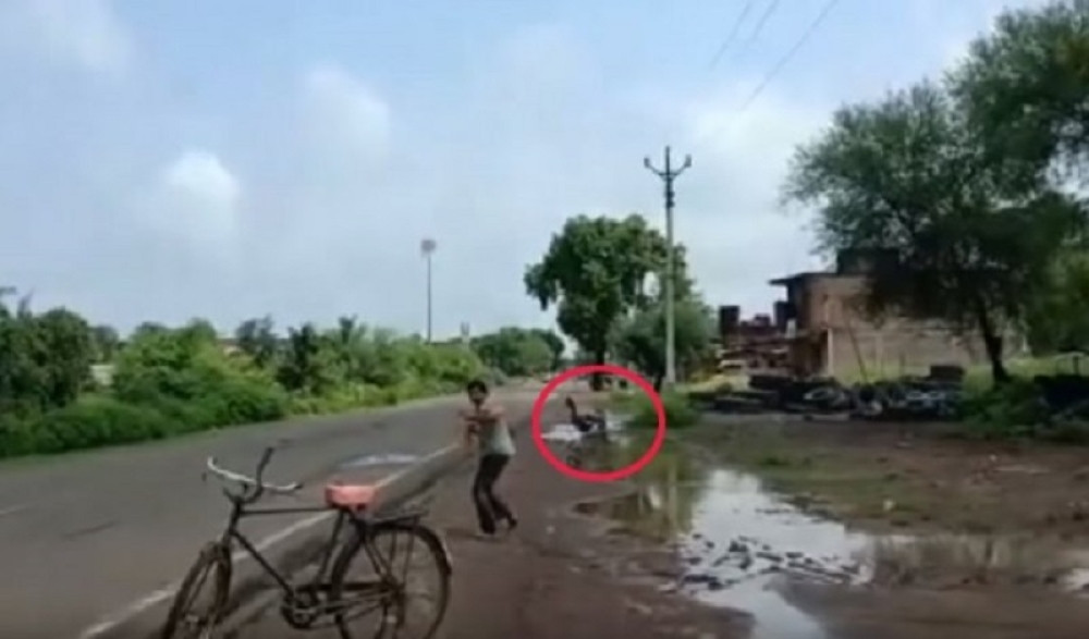 Ovog čoveka već tri godine napada jato pobesnelih vrana! Razlog je bizaran!