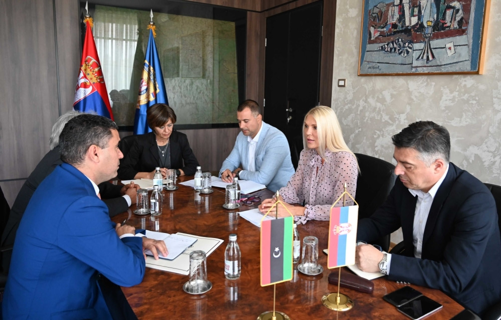 Biljana Popović Ivković iznela argumente Srbije protiv prijema Prištine u Interpol!