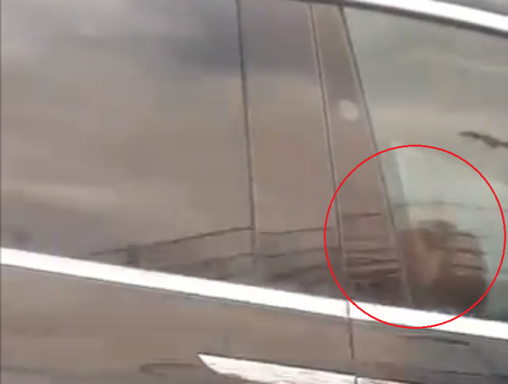 Na autoputu vozili 100 na sat i radili nezamislivo! Čovek ih snimao i nije mogao da veruje! (VIDEO)