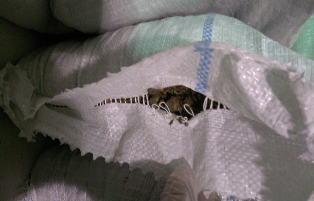 Na prelazu Gradina otvorili džakove sa stočnom hranom. Unutra zatekli živi užas!