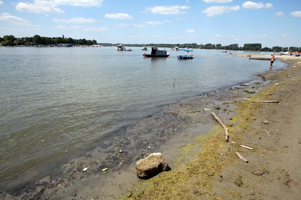 Porodica mislila da ima virus, lekari otkrili da je mnogo gore! Na plivanju joj se desilo ono od čega većina ljudi umre