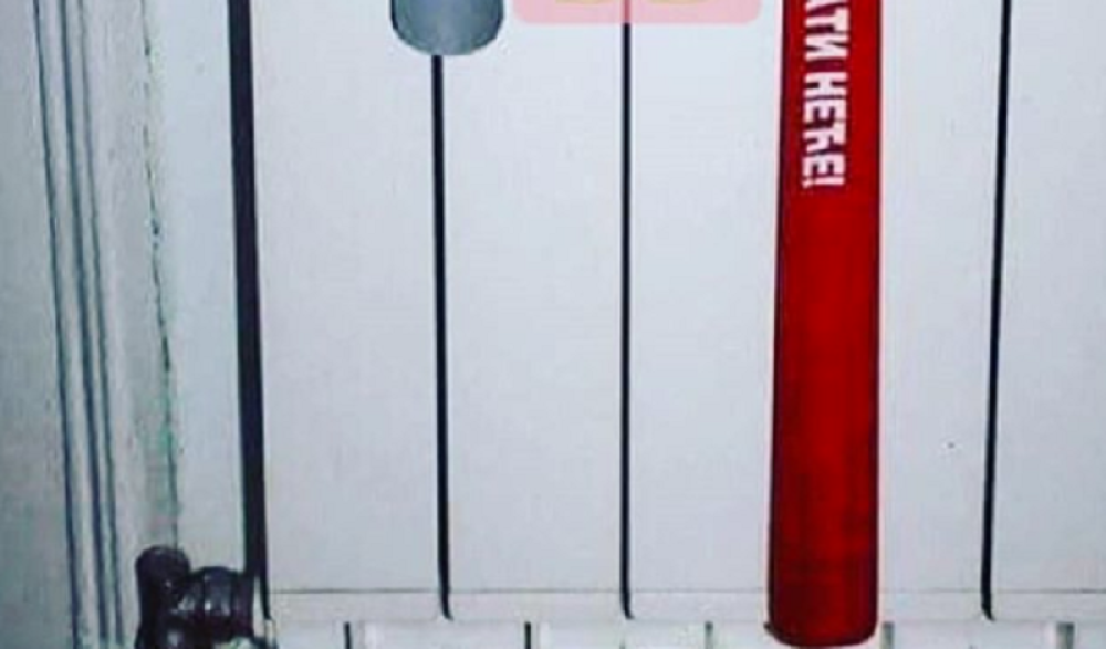 Fotografija nasmejala celu zemlju! Vidite li šta je na njoj ustvari?