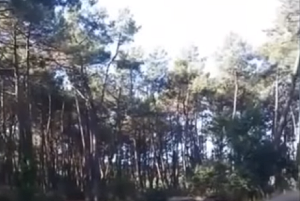 Čovek visio sa dalekovoda pod naponom od 250.000 volti! Spasavali ga 2 sata! (VIDEO)