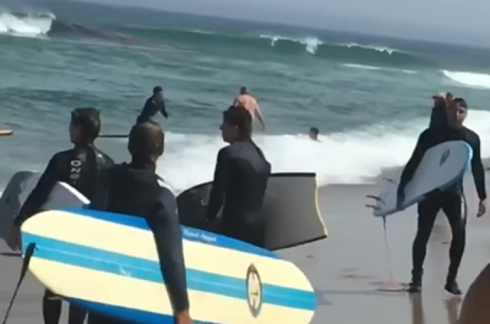 Izvukli ga iz vode, a onda im je svima pozlilo!