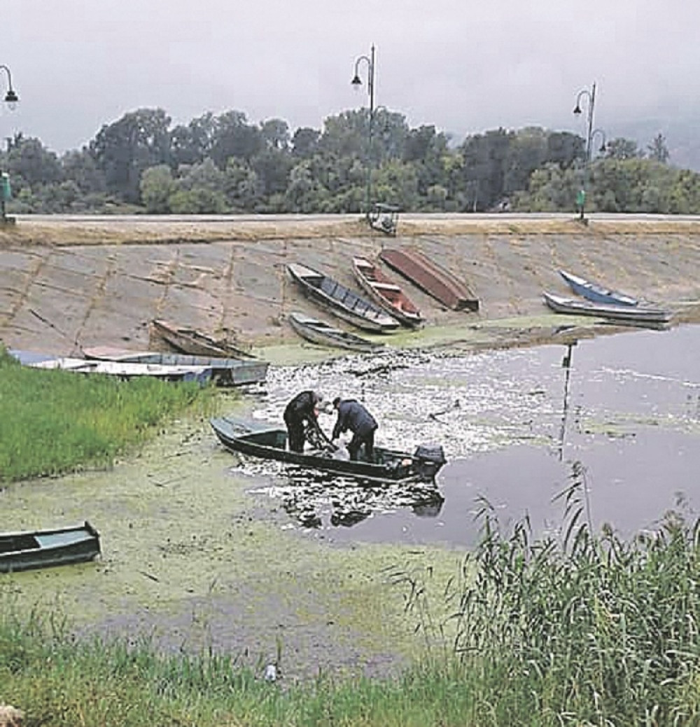 Ribokradice strujom pobile dve tone bele ribe?!