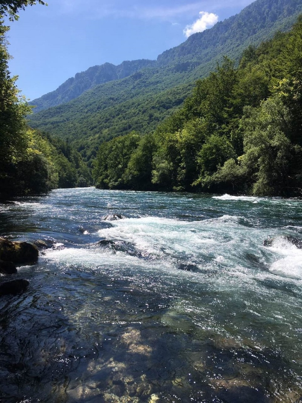 Izumire zaštitni znak Srbije!