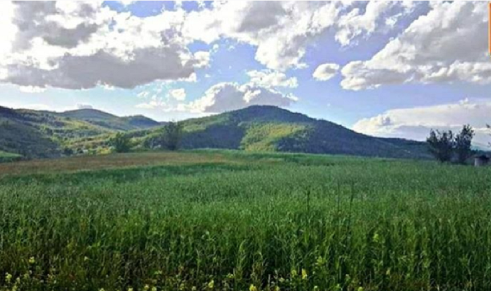 Ova opština u Srbiji izabrana je za izuzetnu destinaciju Evrope!