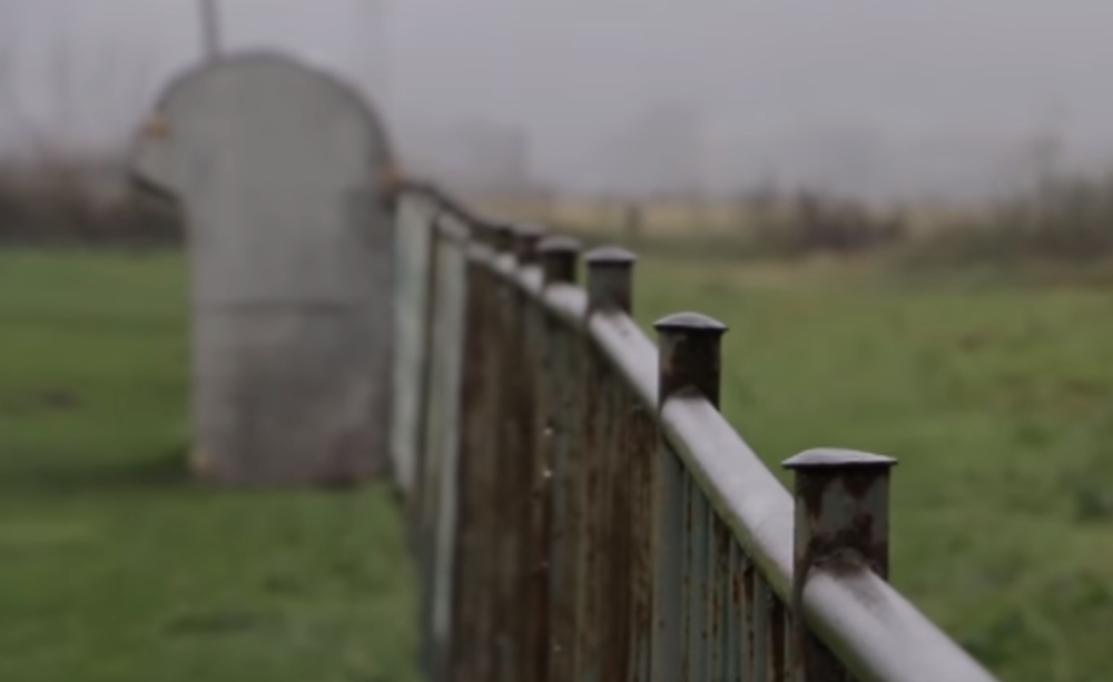 Na ogradi kuće nađen zaklan petao sa izvađenim očima! Meštani strahuju od vlaške magije