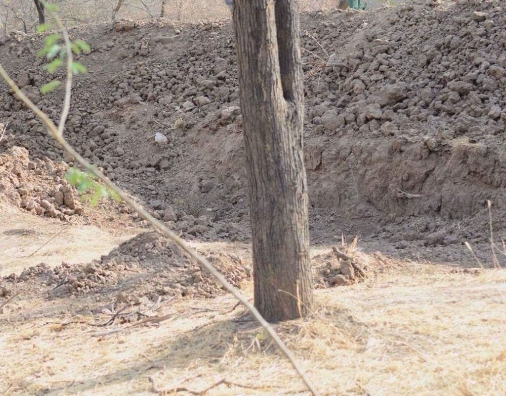 Na prvi pogled se ne vidi, ali kad se bolje zagledate... Da li primećujete nešto čudno? (FOTO)