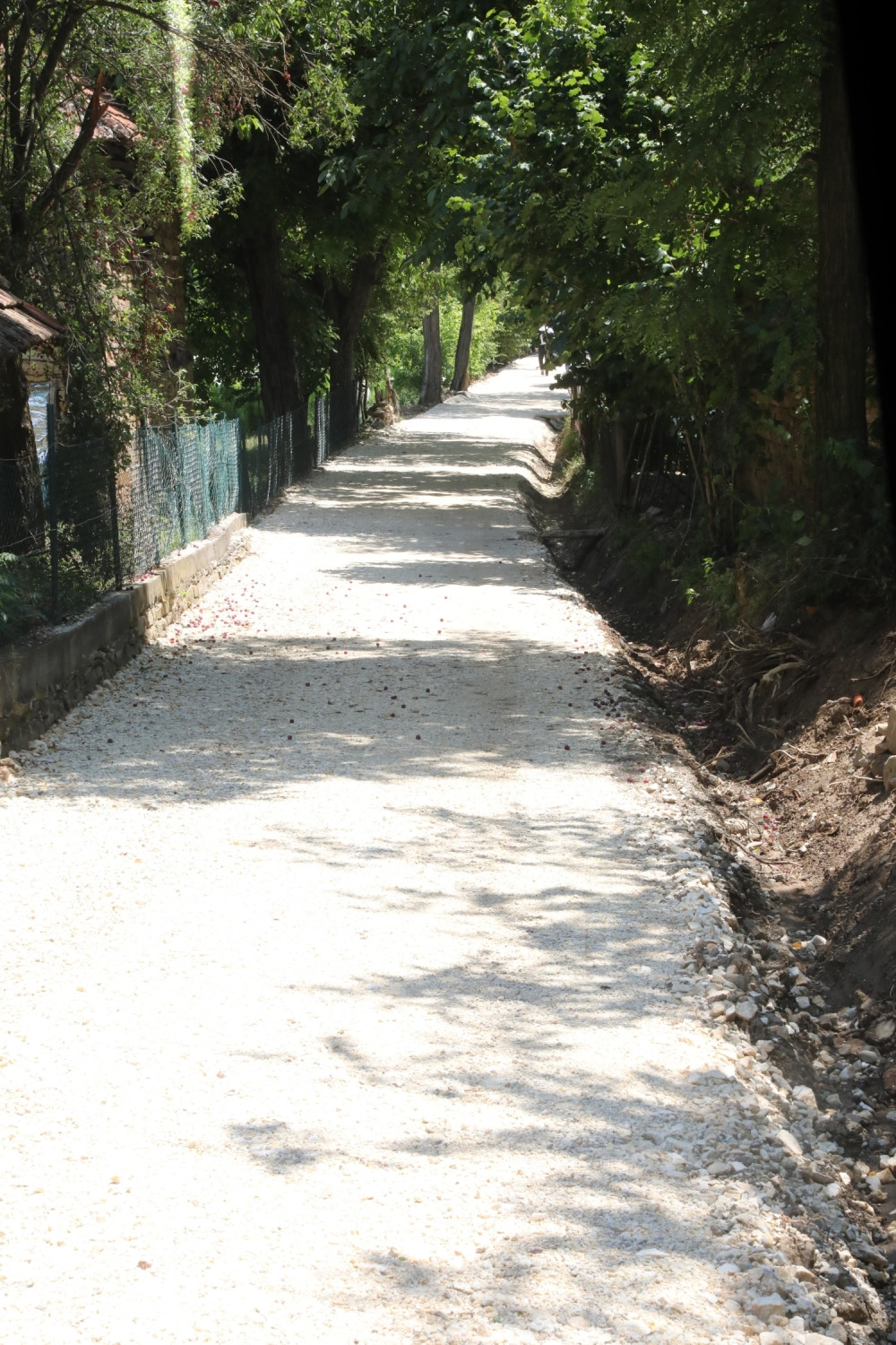Samo jedno selo odoleva, broj zaraženih - nula, a meštani otkrivaju u čemu je tajna