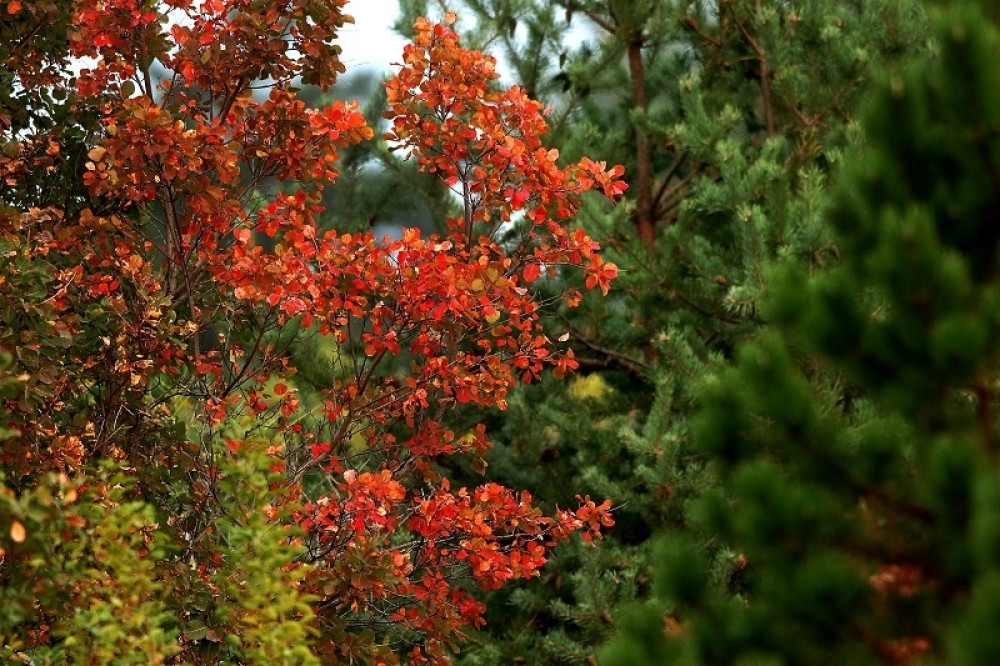 Danas je prvi dan jeseni! Spremajte topliju garderobu i ajvar