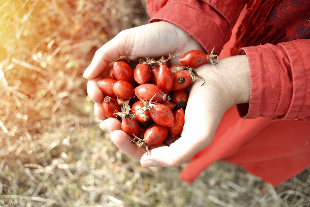 Čaj od tri sastojka trajno reguliše pritisak