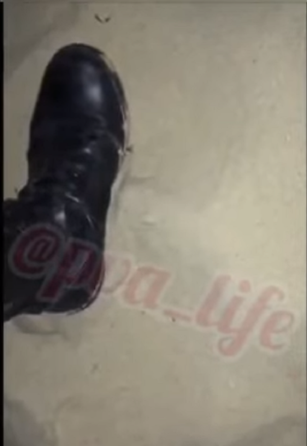 Na plaži videli odbojkašicu sa dečkom, pa počeli da joj prete, a onda je krenula redaljka! (VIDEO)