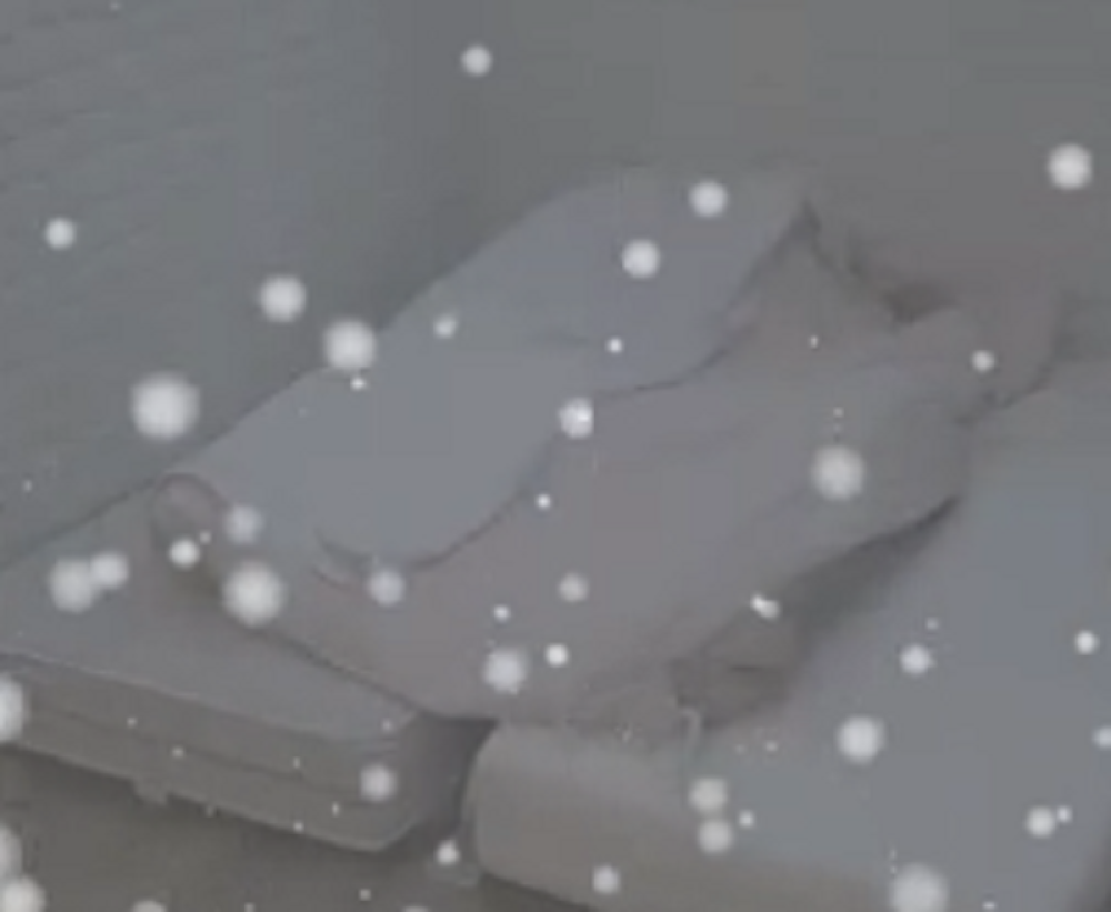 Vrela akcija pod jorganom! Mina i Vladimir se dohvatili, njeni uzdasi odjekivali!