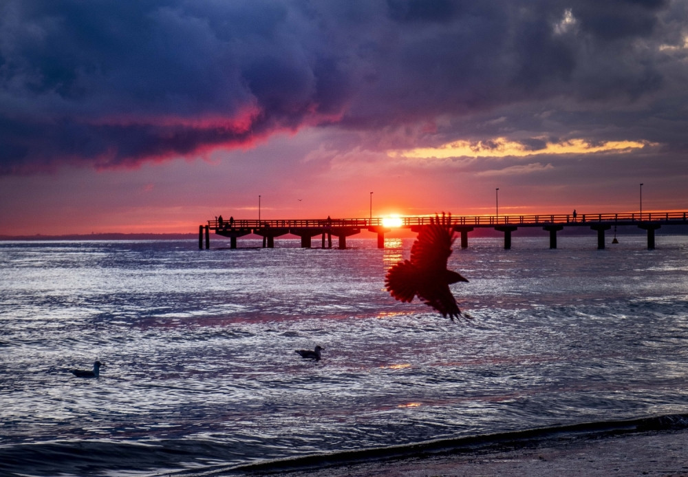 Stručnjaci za bezbednost upalili alarme: Jedna "savršena oluja" će nas sve zbrisati! (VIDEO)