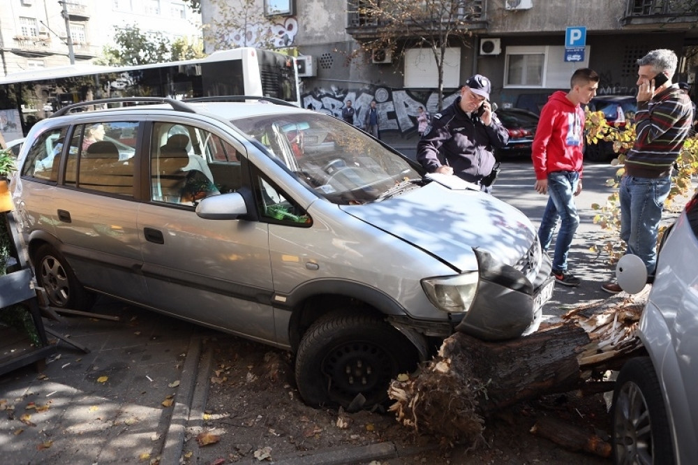 Strašna scena u centru grada, u Francuskoj ulici!