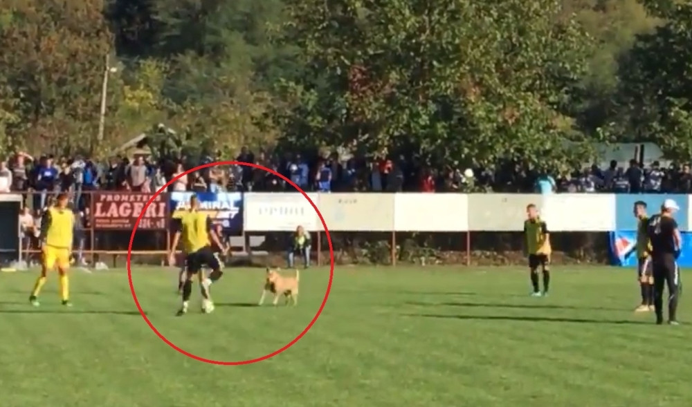 Ovako su se fudbaleri Vodojaže pripremali za Partizan, PAS vodio zagrevanje! (VIDEO)