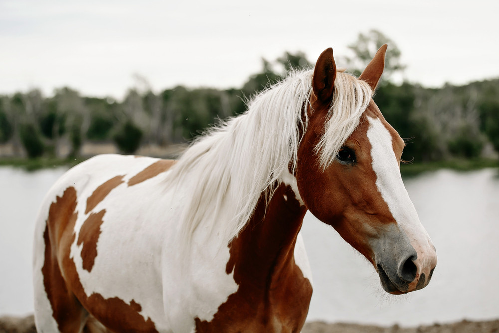 Učiteljica je snimala priču na farmi, a onda je usledila akcija! Čas se pretvorio u se*sualnu edukaciju (VIDEO)