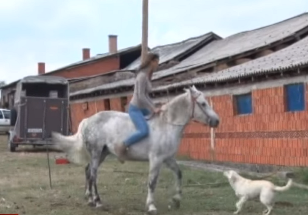 Jelena (20) je čudo od devojke! Cela Srbija danima o njoj priča! Otac i majka joj umrli, a ona lavovski pobeđuje sve nedaće! (VIDEO)