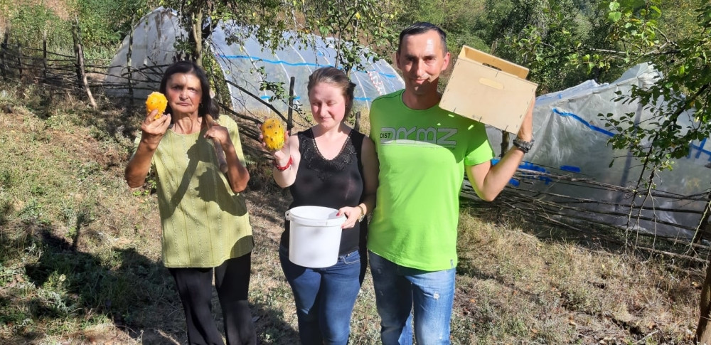 Milanu su dosadile maline, pa je par semenki kivana zasadio u čaši. Uspeo je nemoguće! (FOTO SA IMANJA)