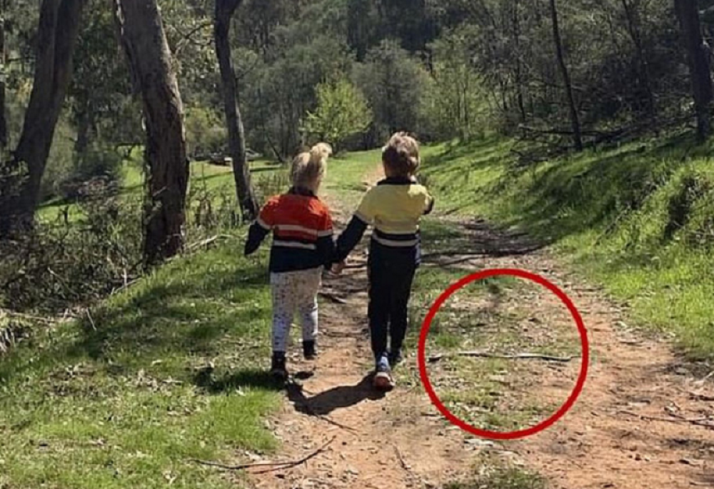 Kad je pogledala fotografiju nije mogla da dođe sebi jer su bili u smrtnoj opasnosti! (FOTO)