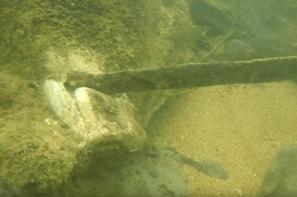 Ronioci izronili i izneli ga na obalu! Očevici zaprepašćeno gledali u pojavu pred sobom! (VIDEO)