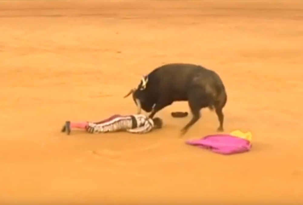 Zabio mu rog na najgorem mogućem mestu! Toreador zadobio tri srčana udara! (VIDEO)