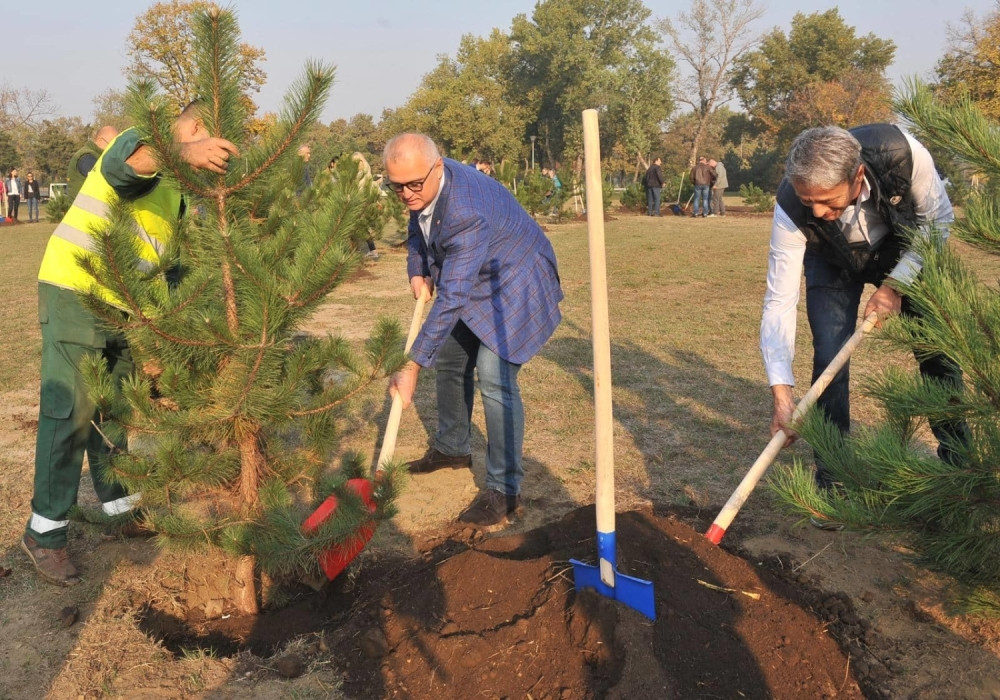 Glavni grad dobija još 4.000 stabala, Vesić sadio u ime jubileja "Zelenila Beograd"!