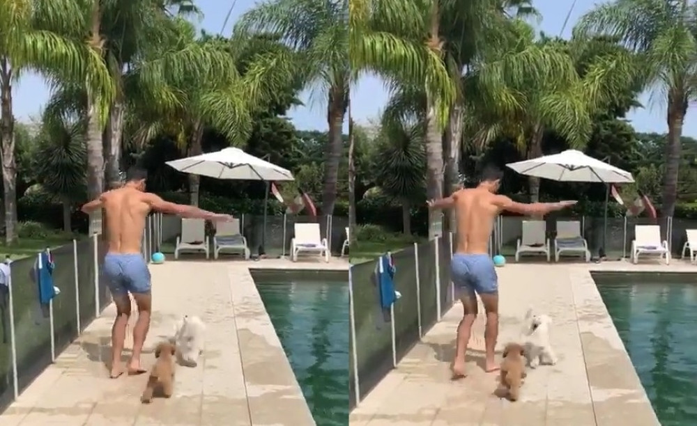 Novakov pas ima Tviter i ne jede gluten, Endijev je nazvan po legendarnom teniseru, a Rodžer ne voli ove divne životinje! (VIDEO)