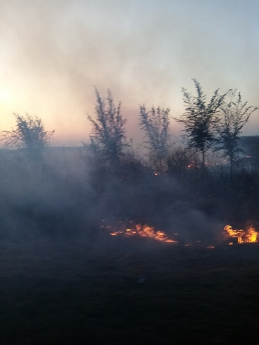 Vatrena stihija guta sve pred sobom, vatrogasci iz cele Srbije jure, ova opština je najugroženija!