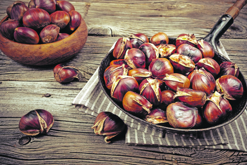 Spremite ih kod kuće! Odaberite kvalitetne plodove najpopularnijeg drveta tokom jeseni! (RECEPT)