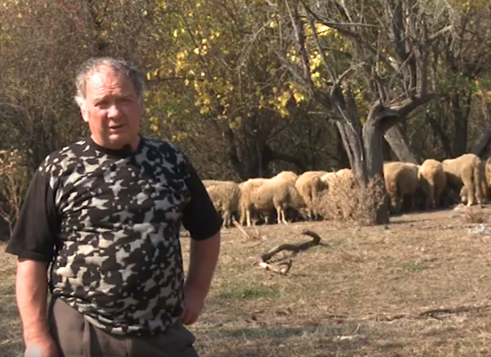 Nekada je bio sportista godine i šampion Jugoslavije, a danas čuva ovce! (VIDEO)
