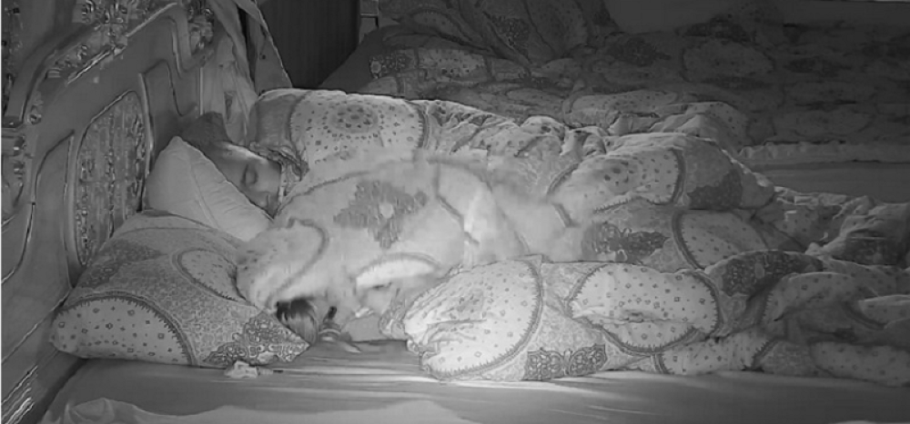 Posle žurke imali žestoki se*s! Pribio se uz nju, pa razvalili krevet! Ukućani nisu mogli da spavaju!