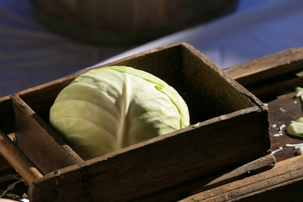 Kiseli kupus leči 9 bolesti, a uspešno pomaže i u skidanju kilograma!