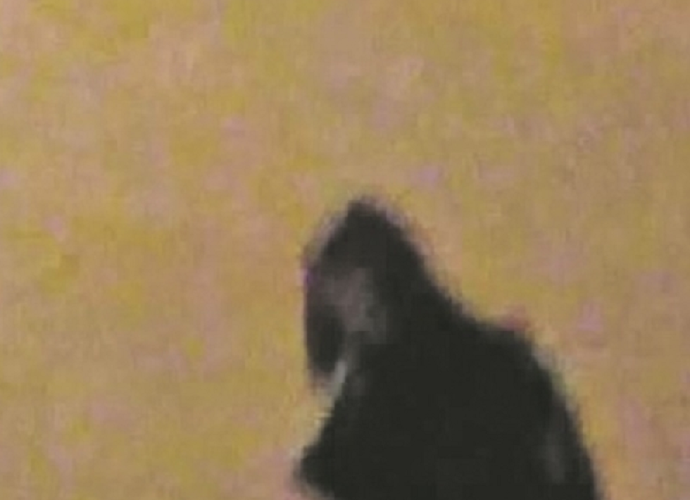 Neko je fotkao scenu u školskom dvorištu! Bilo je to u večernjim satima! Samo je kleknuo, a onda sve po redu (FOTO)