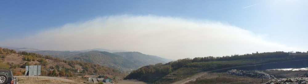 Na Suvoj planini otkrivena retka vrsta, najlepša u Evropi!