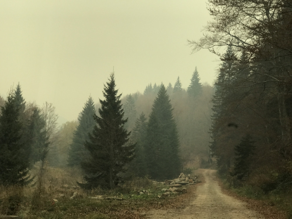 Spašeni rekreativci koji su se izgubili na Stolovima!