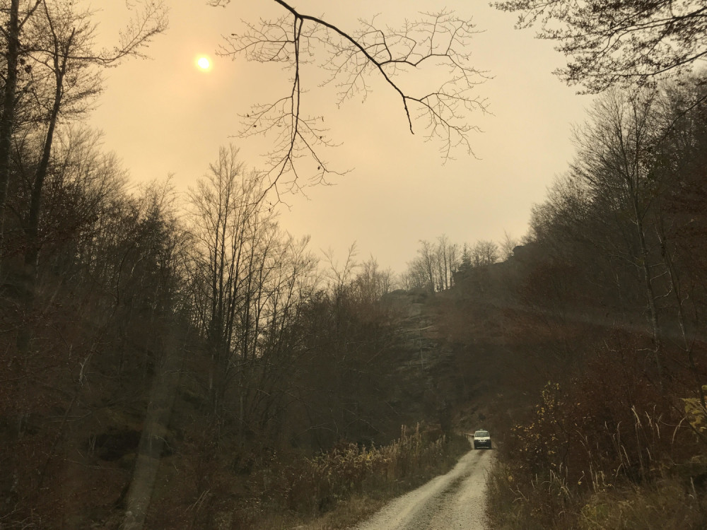 Vatrogasci cele noći gasili vatru kako bi sprečili širenje požara!