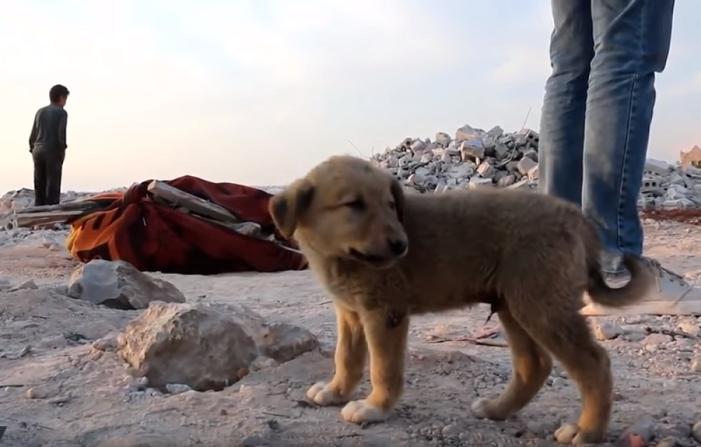 Upali su sa dugim cevima iz 8 helikoptera, nije čekao, sve je digao u vazduh! (VIDEO)