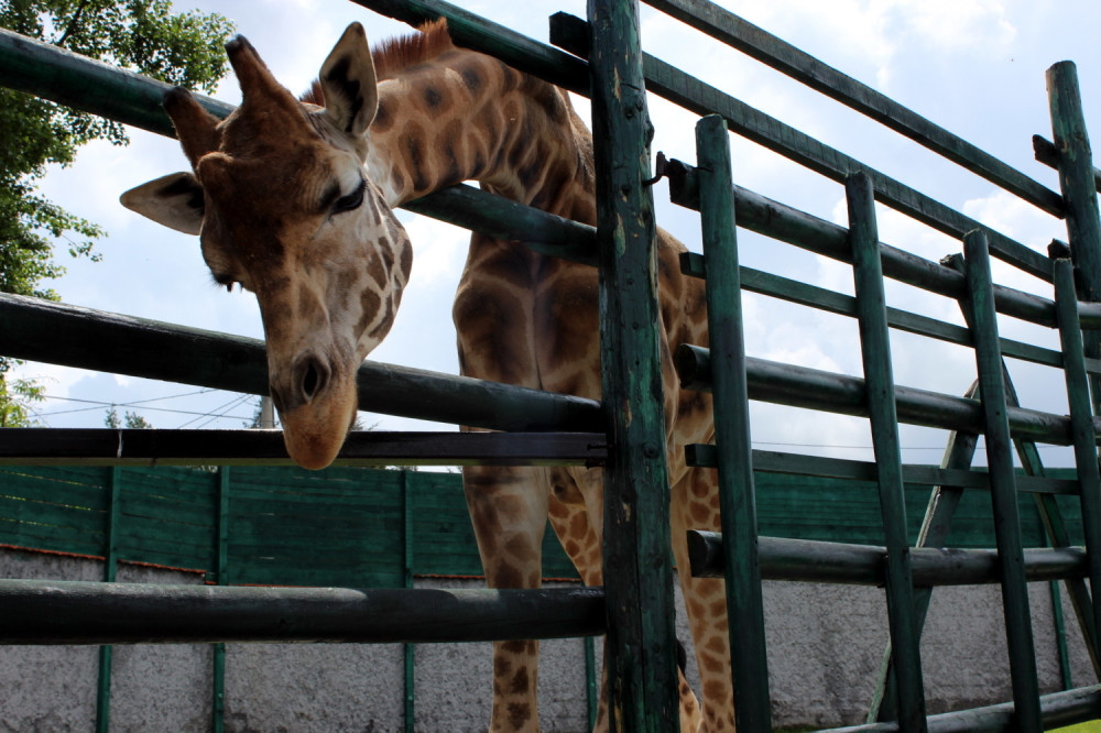 Od proleća nove ture i staze za građane!